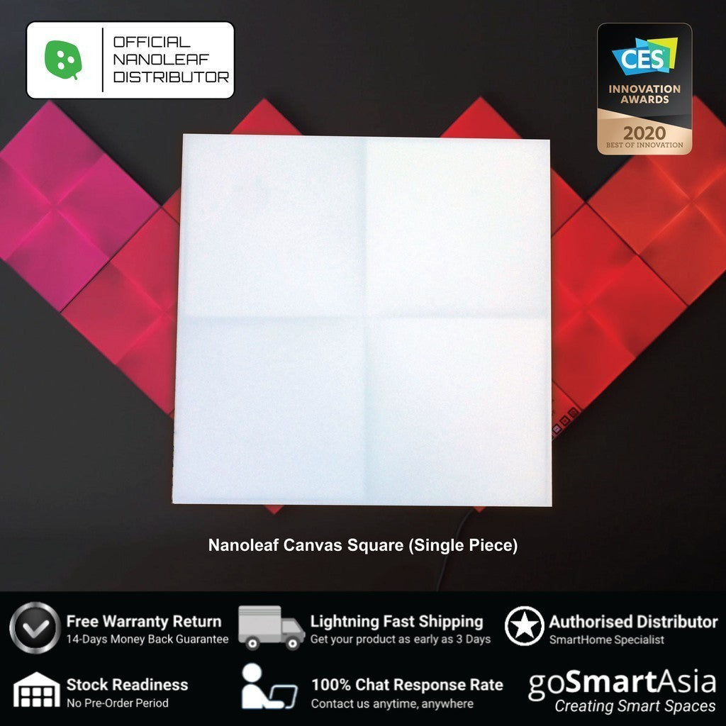 Accessories Single Nanoleaf Canvas