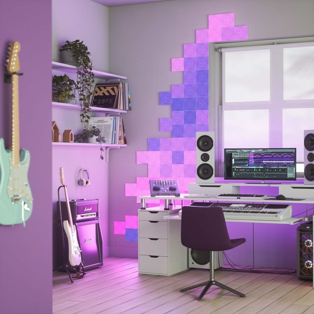 Accessories Single Nanoleaf Canvas